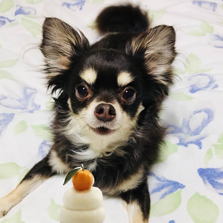 A906a9ef 0df2 4df3 bc39 b37294879310 1514726210704