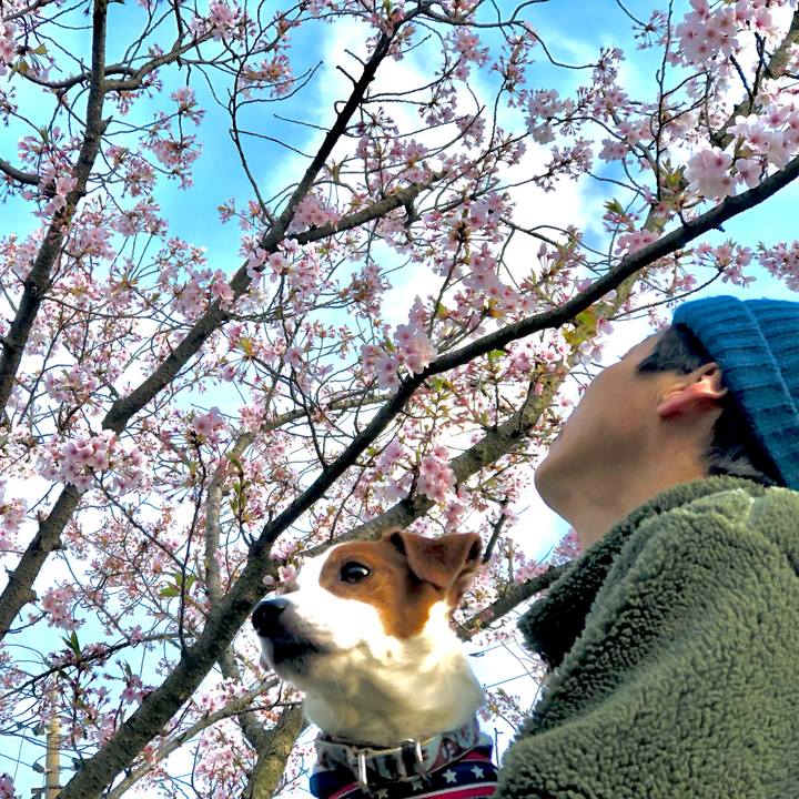 A906ee2e 796f 4c12 94d7 5f57bc40224c 1680690856806