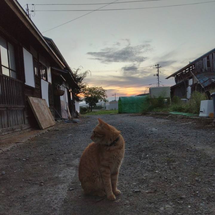 A906f767 11a1 47f1 8e48 609e96f01e91 1663454251564