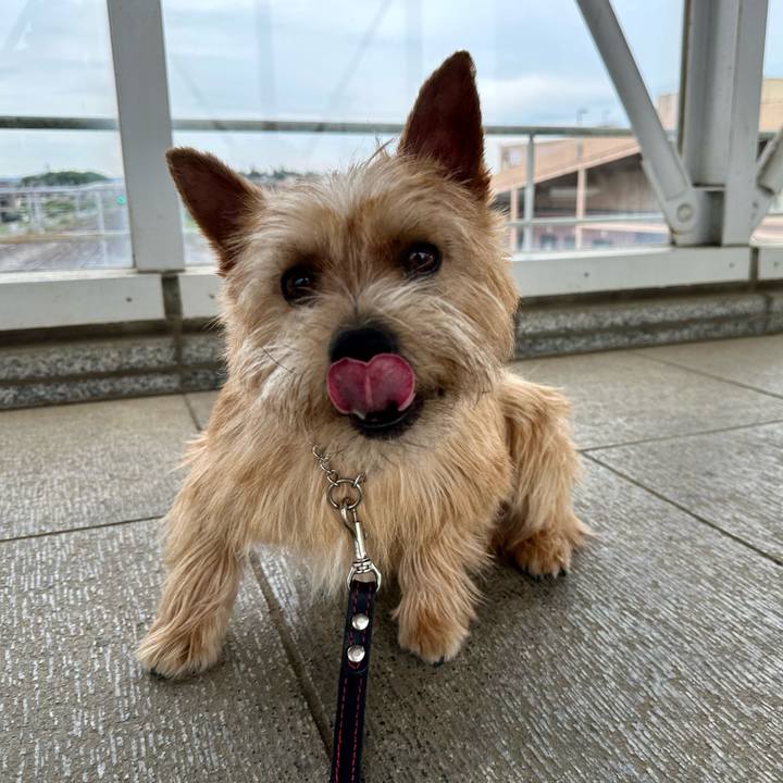 A9070ad7 51f5 48fb 9d61 85f804516860 1748351444145