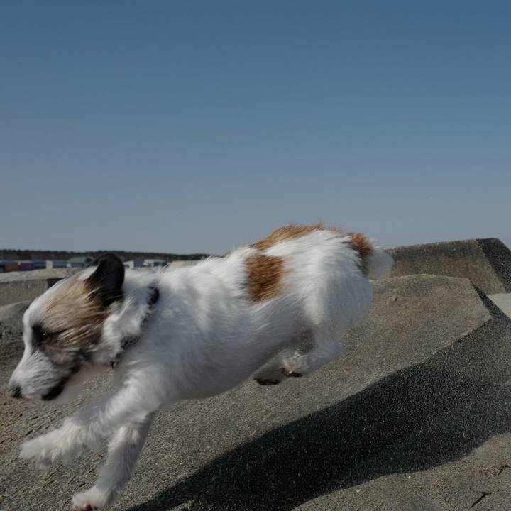 A907175a 37ea 4e41 a280 622a7f66160b 1522471573540