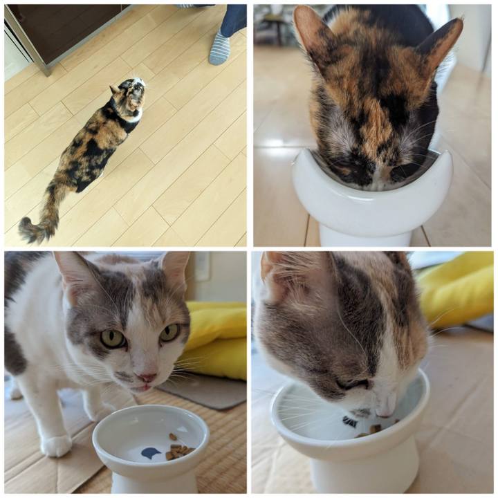 A9073397 3424 4077 85c1 1039e0bb6172 1695525371648