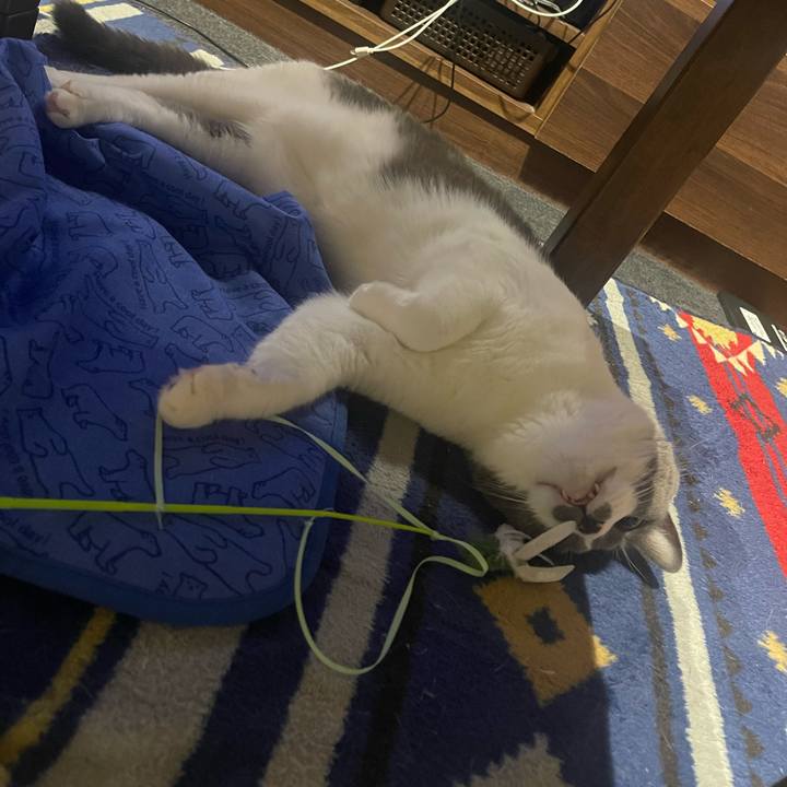 A907360b 0861 4867 af61 c4e29037575d 1690898803192