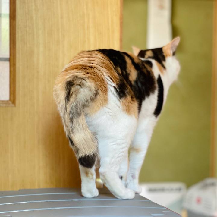 A907580a 3dd8 4880 9b62 03d1015e251f 1655084267628