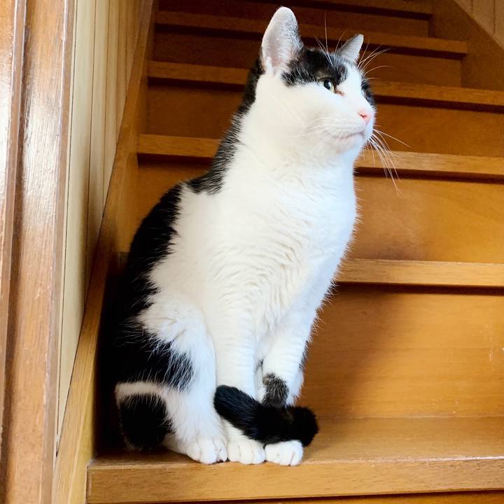 A907961b 2d18 4851 afc8 c4dc9f24861f 1550022561654