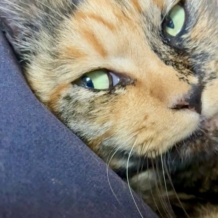 A907be87 ee7f 4435 9bd0 7a7d62e96ff0 1753522939495