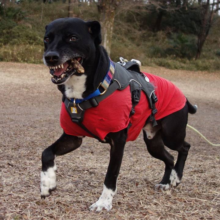 A907ead9 66f1 423d bf1d 050c51b5825c 1642900231373