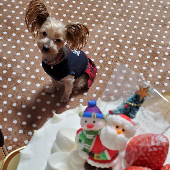 A907f55c 0844 4dbc b6d3 2e7eaf5e7ba0 1577197482805