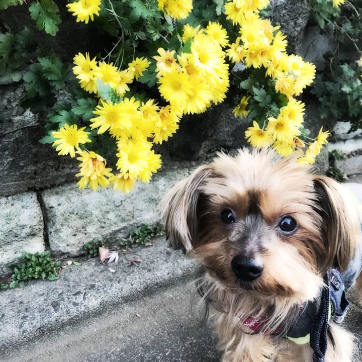 A90822b2 eeb2 4b40 8542 1915c45522b5 1512860945283