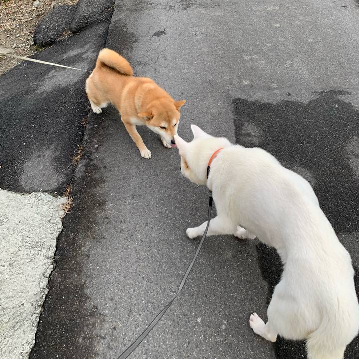 A9084ffb 6a8e 494d ab1d 295f13182946 1581771837163