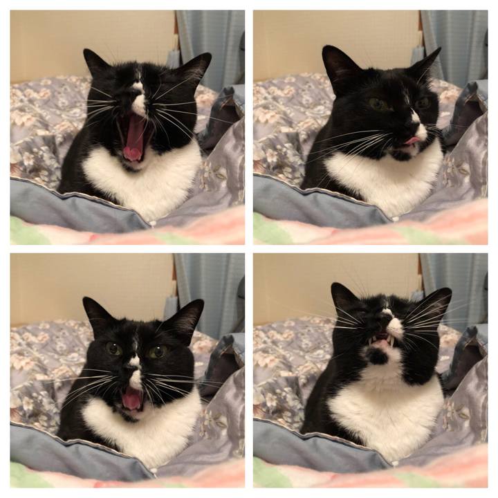 A9085a55 464a 405c 84bc 5ecfc6933a91 1594157933943