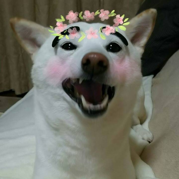 A90869bc 78a9 4ba9 a3b7 0796c7e34cf4 1520081996888