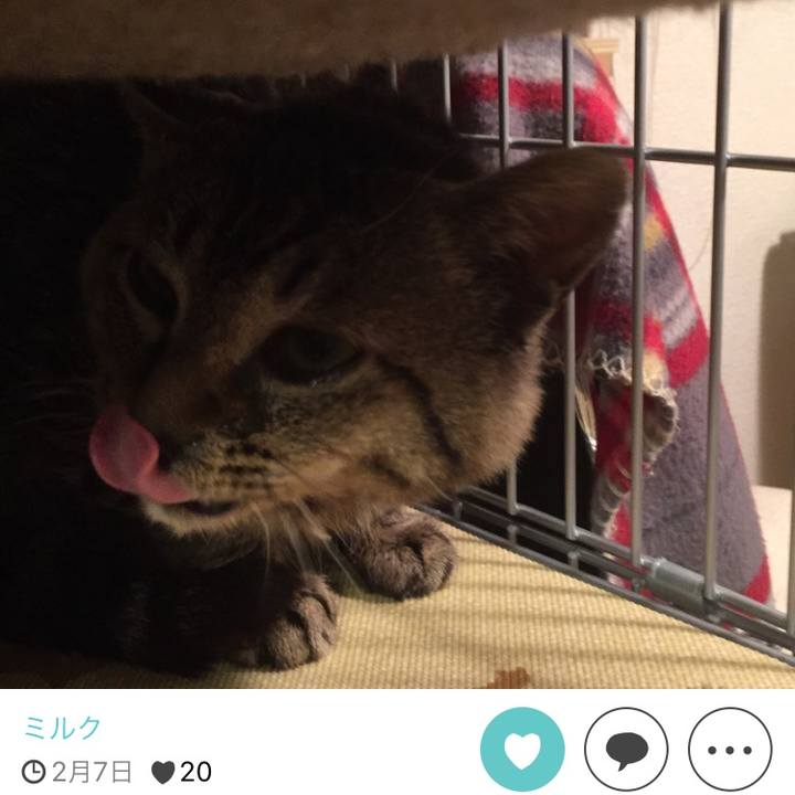 A9087ed3 8df0 4933 98c9 8c2971057885 1511689948333