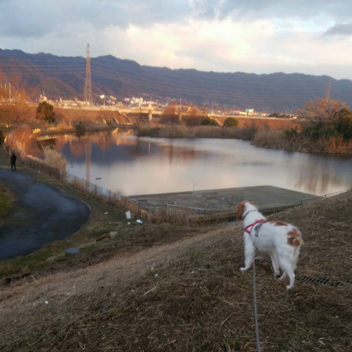 A9088e1b 06f4 4ff2 936f feb65698fbbb 1547638437065