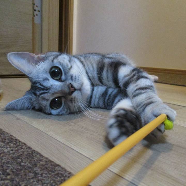 A908cf2f 85da 4860 9aa0 911c2c0004b2 1556625128502