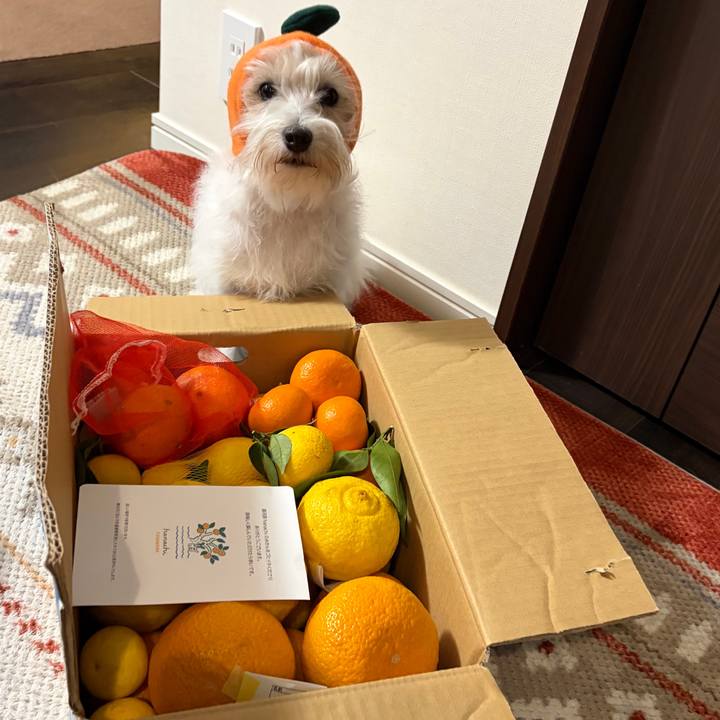 A9090b83 70e2 48fb bd0b e031bd5c0a76 1771806302755