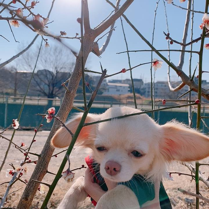 A90910df 904f 41d7 9a36 24909eefe152 1611217849998