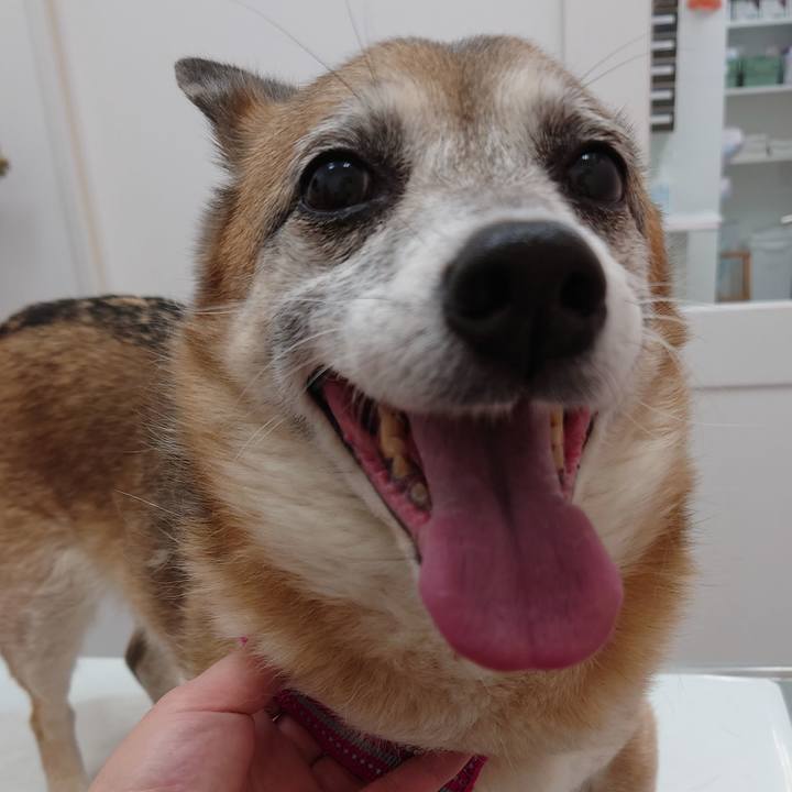 A909184f ab05 43d6 bd7c 93133ddbf08a 1617263723662