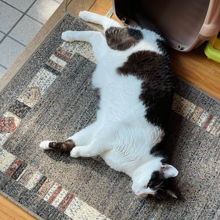 A9098b3e 5587 484a aefe be540cd46508 1654396667613