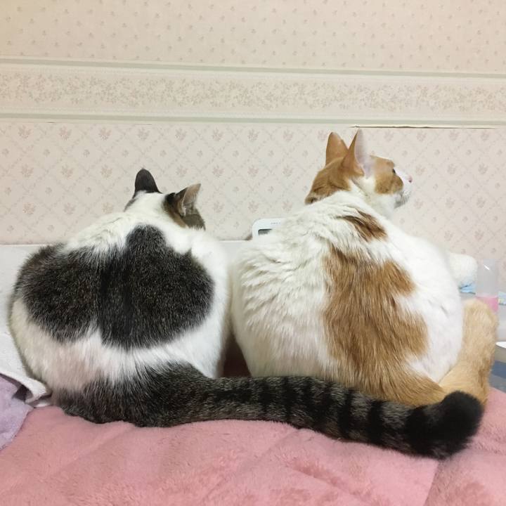 A90a0502 4d30 4645 8543 4adb218b1431 1517151085674