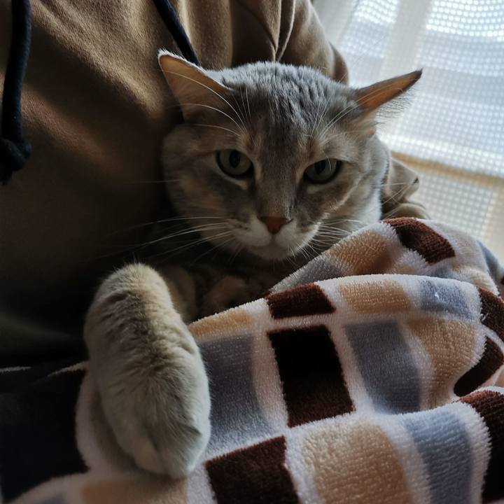 A90a230a a219 4aa4 ad99 535b0fff14b2 1640529686390