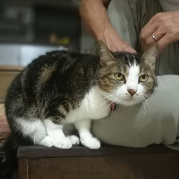 A90a2dc4 aa16 42f9 b571 d9af9cbaba2a 1538988603304