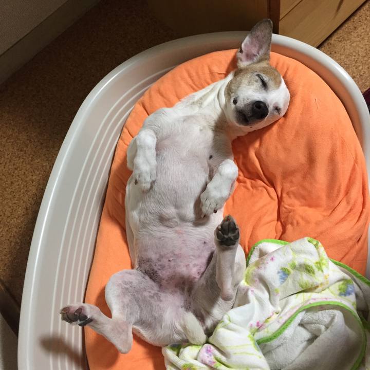 A90a3e85 8b95 4cc9 adb7 cf6b5e3c477c 1528035983441