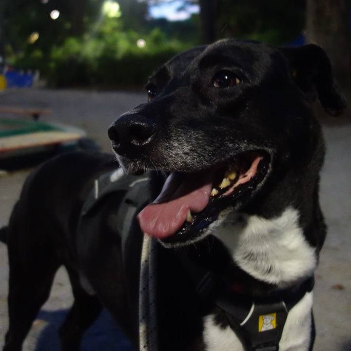 A90ac4b6 6706 4aa1 a7c3 a05dde41803c 1654346603771