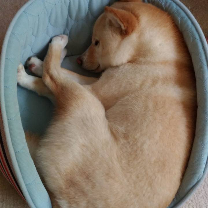 A90acb2e 5060 485c b8c1 99ccd43b3f7d 1524107423047