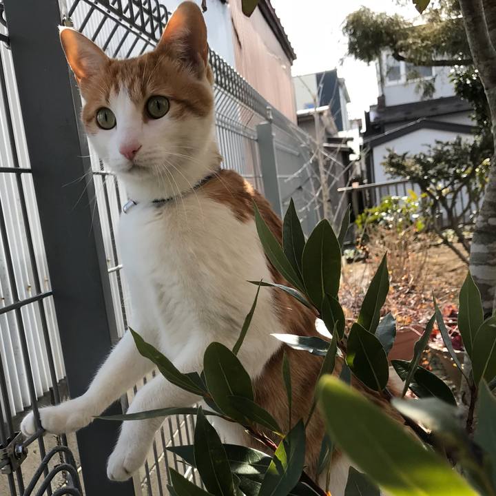 A90add68 149e 4dfc 8389 60a8b69b94e2 1519186892365