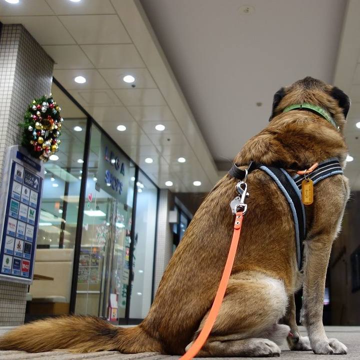 A90affe9 8094 4ae8 a58d 6163f6c96b56 1513507665675