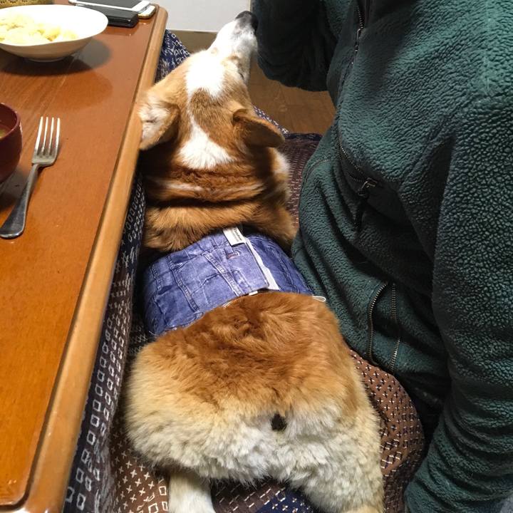 A90b2502 7c51 45f7 b253 18e59c984cee 1551927300896