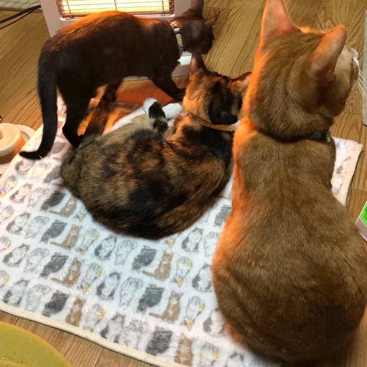 A90b636f 5cc5 4ef7 960e 8986a5d1eb41 1610203718120