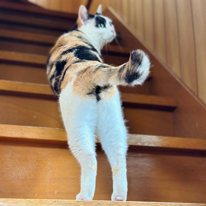 A90b8a18 d081 4844 b855 48174fb020f6 1714354084840