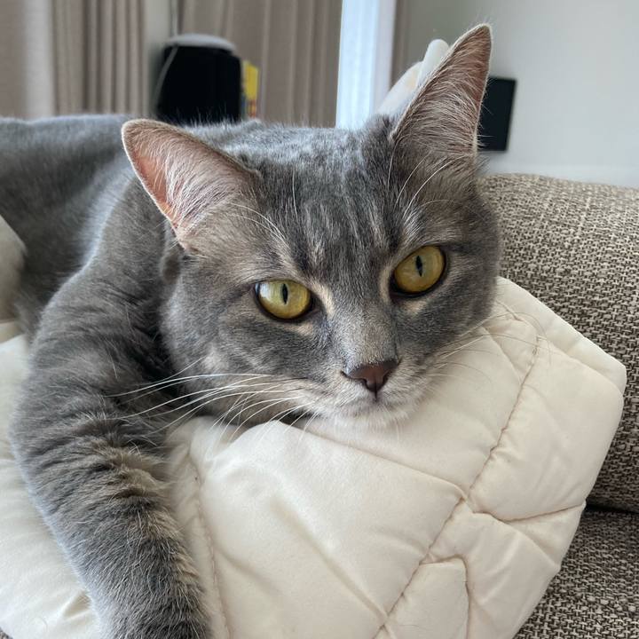 A90bb038 dbce 452f 9c32 807a77ec574e 1728264970283