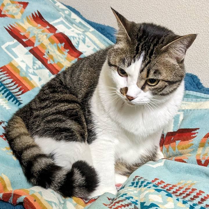 A90bb6d0 0a76 4b0d b8e4 87cb4e077e66 1685623980839