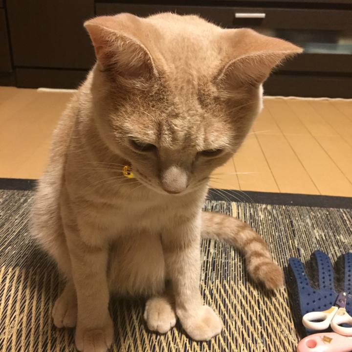 A90bd5af 4306 4428 b346 86d665d898e8 1567941171244