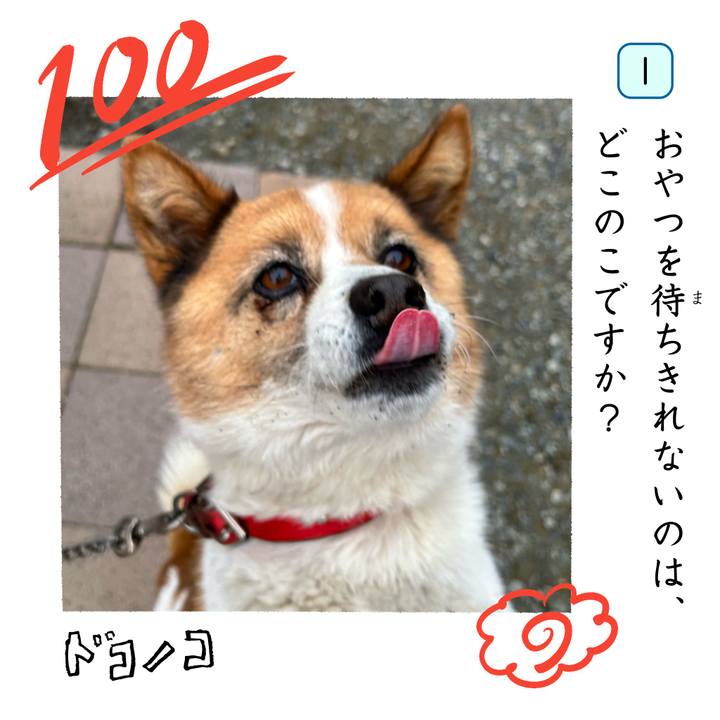 A90c50e4 4f1d 4077 ba21 f6df694a9b26 1744313941718