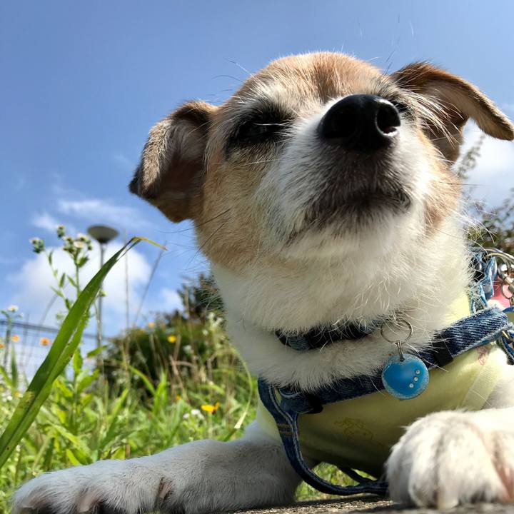 A90c5c40 36e4 4e54 a5bf f3d1de92c287 1624492806116