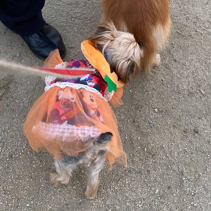 A90c637f d4e2 4521 9e63 825aa3636148 1667258738255