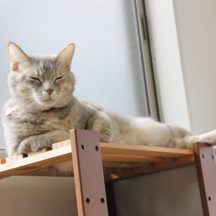 A90c656a fcf9 4201 af88 6458c9da3e2a 1578642644176