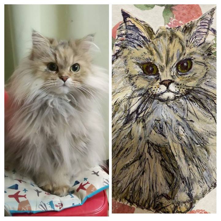 A90cb31b 7a47 426e 9a54 2a4aeadaef55 1613492012399