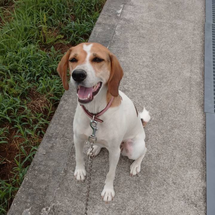 A90cc9ac 0e32 4d9f ad64 547678f69542 1599101358465