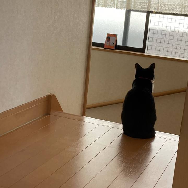 A90cc9b4 e551 4600 8b2b ff2eb0f13139 1744765996930