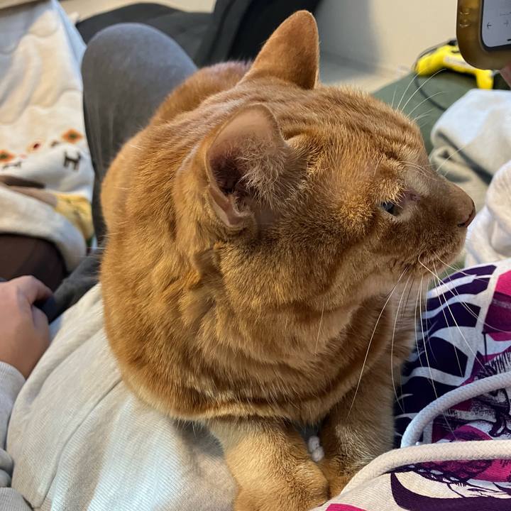 A90cd381 4cb7 4d4c 920b 26e8f83e3140 1764977645088