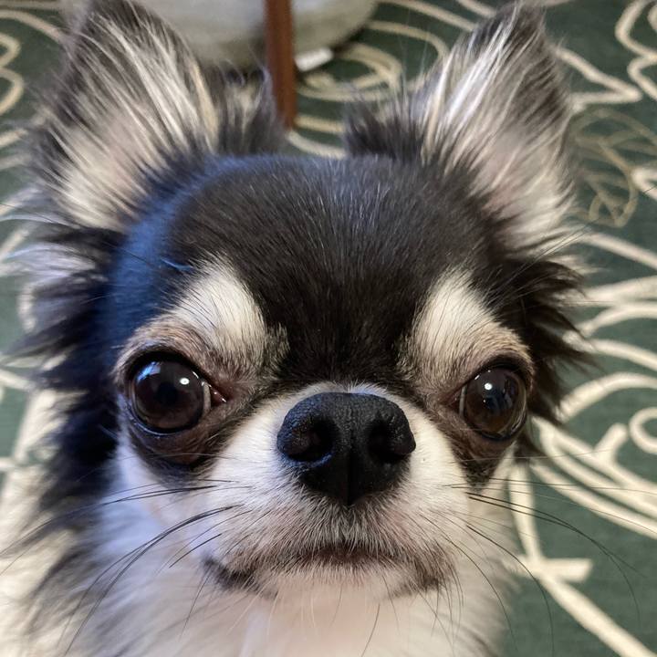 A90d1f69 70d4 4471 8832 6e080f9301b9 1632352505593