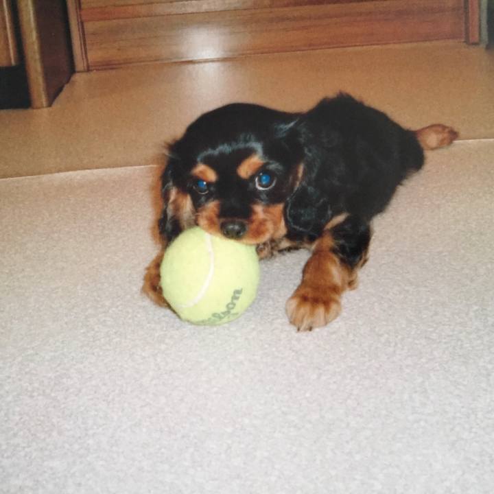 A90d276d fe08 44a5 8a2f 84afbccf3f02 1599145644978