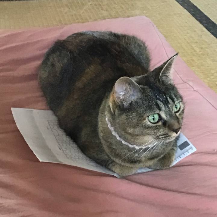 A90d64da 0ba8 4310 8905 c54b7ac651d2 1695473854390