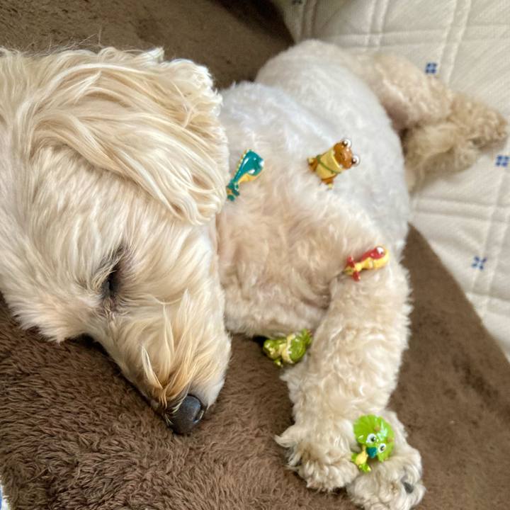 A90d909b 4fb9 42ba 92ab 99f1047ea218 1772514006581