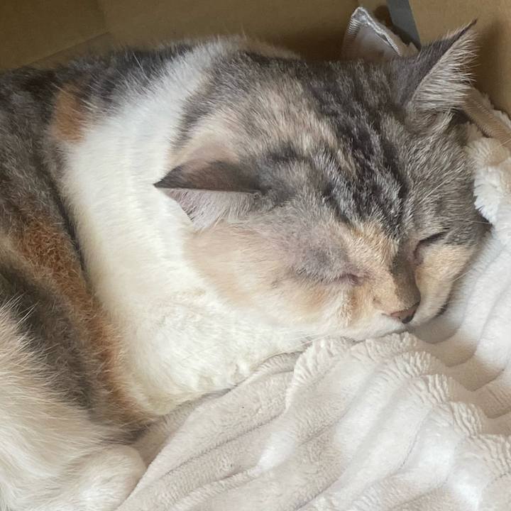 A90d91b9 a874 46ca ad34 59cdef948204 1728873431163